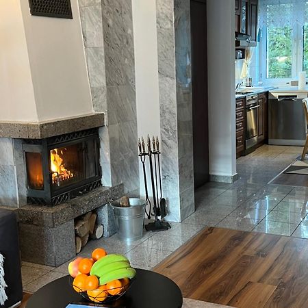 Sweet Home Cieplice Mountain View Apartament By The Main Park And Thermal Pools 옐레니아구라 외부 사진