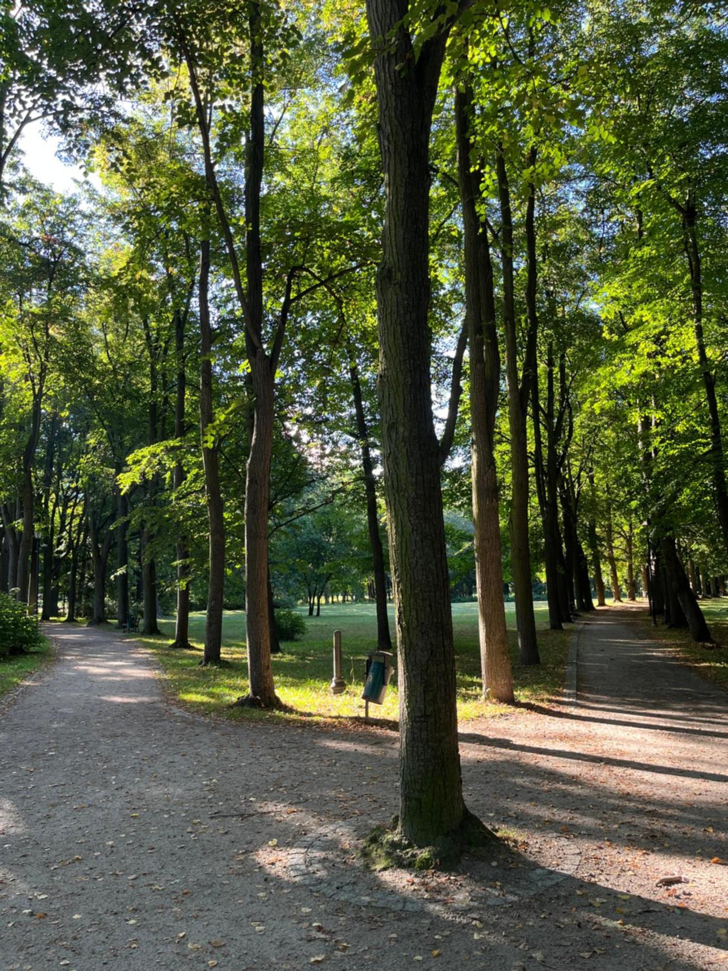 Sweet Home Cieplice Mountain View Apartament By The Main Park And Thermal Pools 옐레니아구라 외부 사진